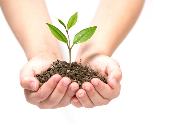 Peran Penting DLH dalam Menjaga Lingkungan Hidup di Banten